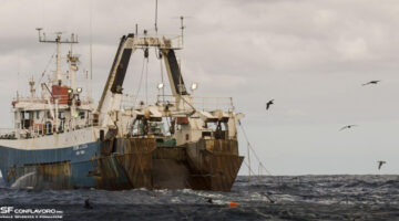 1529314400 PESCA UNASF