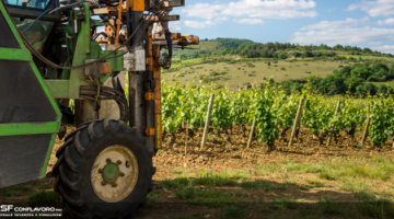 1538401404 agricoltura UNASF