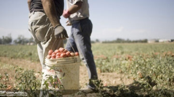 1551866888 sfruttamento UNASF 02