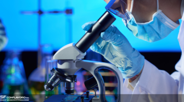 1564041884 bric2019 UNASF 02 Recuperato