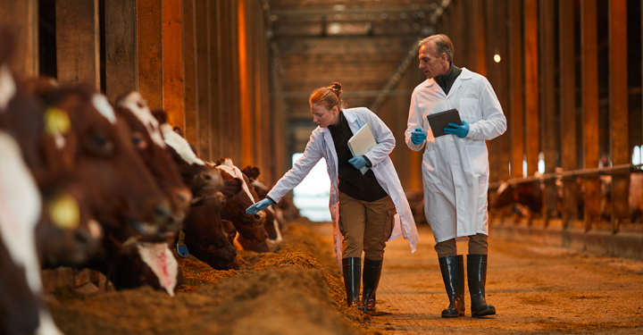 Prevenzione e gestione dei rischi nel settore veterinario
