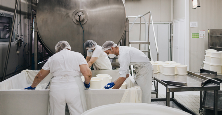 Sicurezza nei caseifici: DPI e sorveglianza sanitaria essenziali