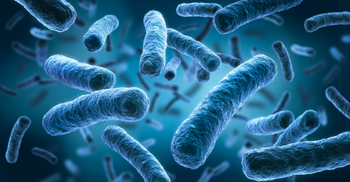 Obbligo di valutazione del rischio Legionella per tutti i luoghi di lavoro