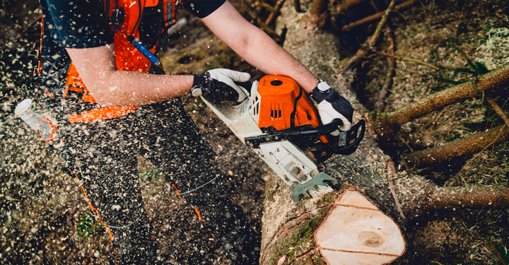 Sicurezza nei lavori forestali: un’attività ad alto rischio da gestire con metodo