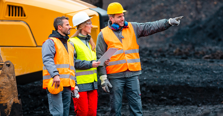 Il DSS nelle attività estrattive