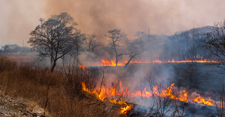 Antincendio boschivo: sicurezza nel luogo di lavoro 14 Antincendio boschivo: sicurezza nel luogo di lavoro