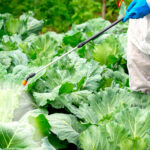 Gestione sostenibile sostanze chimiche: il quadro GFC