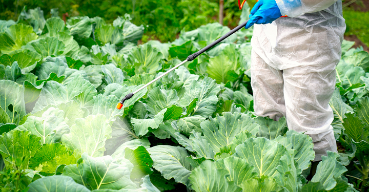 Gestione sostenibile sostanze chimiche: il quadro GFC