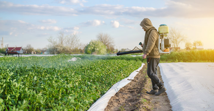 Agenti chimici in agricoltura e rischio fitosanitari 62 Agenti chimici in agricoltura e rischio fitosanitari