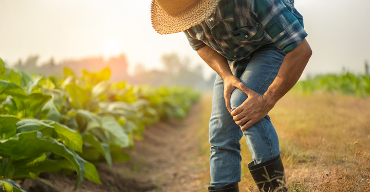 Infortuni agricoltura: calo nei campi, rischio tragitto 70 Infortuni agricoltura: calo nei campi, rischio tragitto