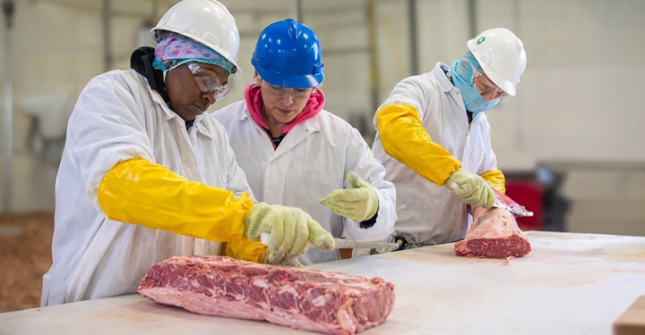 Sovraccarico biomeccanico nella lavorazione carni 2026