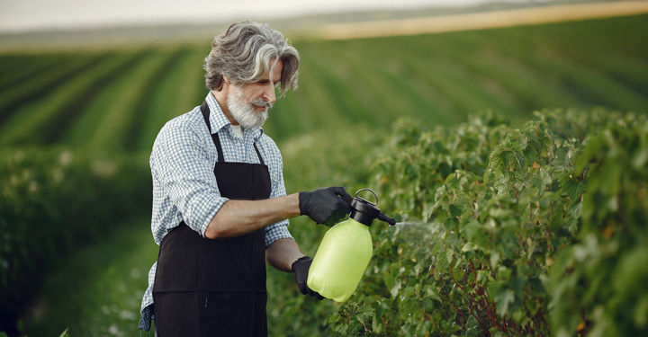 Corroboranti: protezione sostenibile per le colture agricole