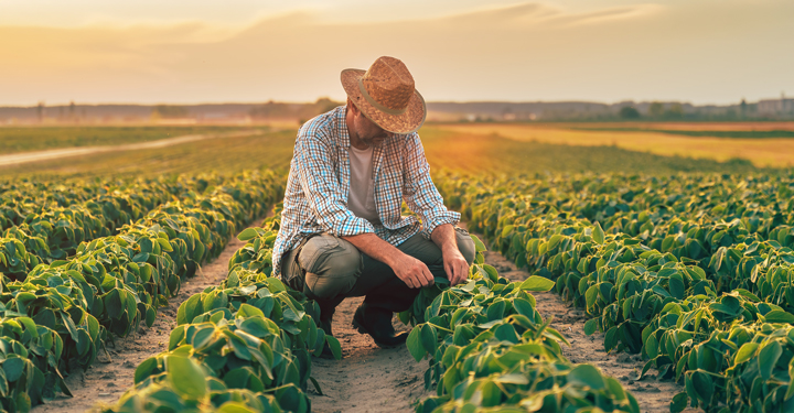 Agricoltura: i rischi dei movimenti ripetitivi sul lavoro 10 Agricoltura: i rischi dei movimenti ripetitivi sul lavoro
